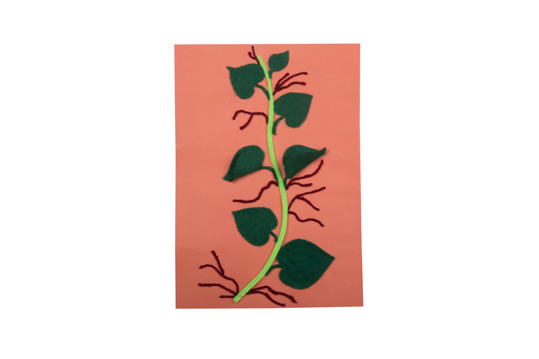 Leaning Science Made Easy | Types of Roots | Fevicreate